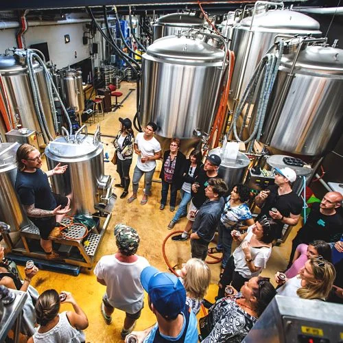 An Urban Legends group standing among the fermentation tanks on an Illawarra brewery tour while the brewer talks them through the process