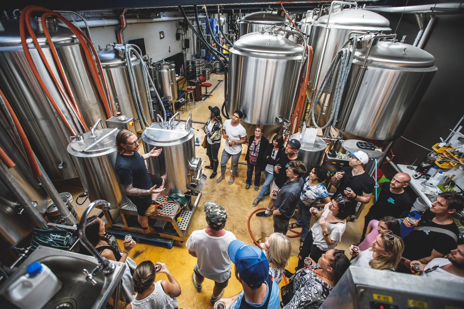 Private group learning about brewing among stainless steel tanks