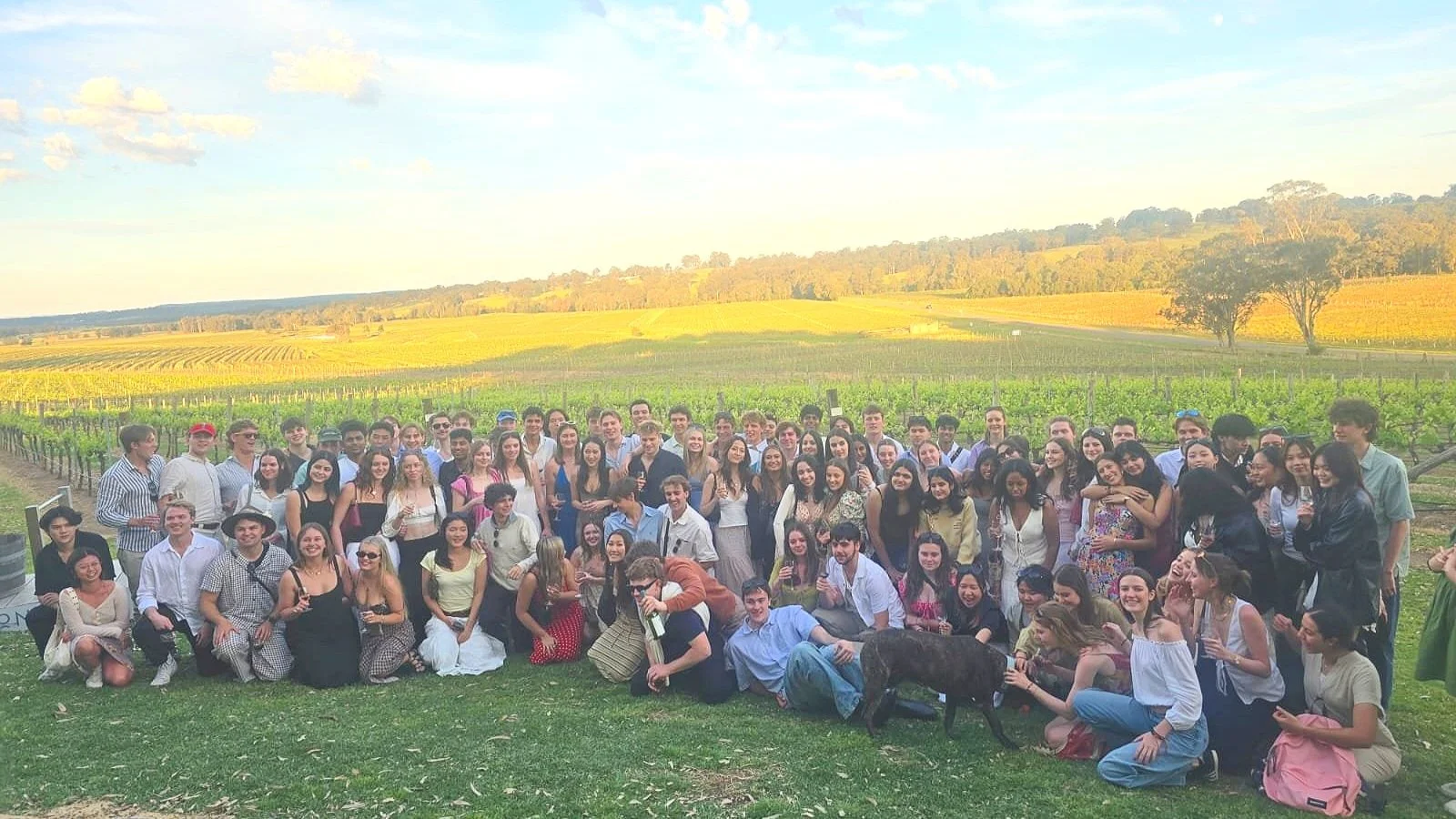 A corporate group of close to a hundred staff gathered together in the vine rows at golden hour on a Hunter Valley work Christmas party tour.