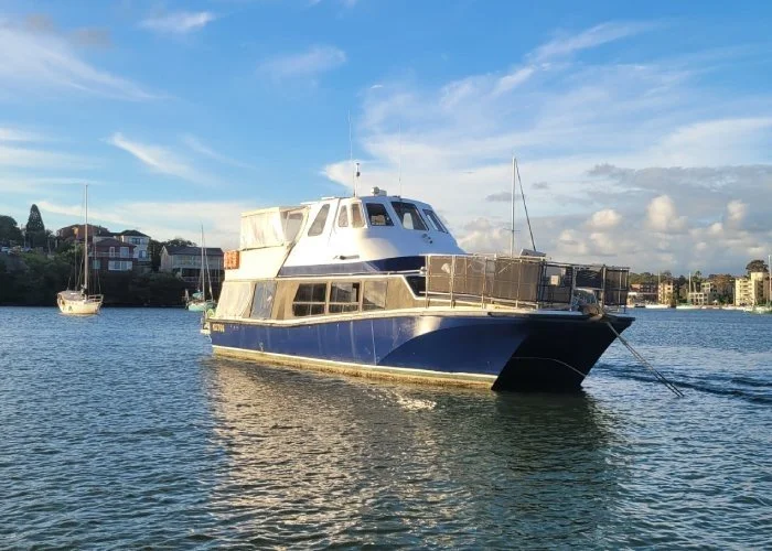 Freedom, a navy and white 50ft power catamaran, at anchor on Sydney Harbour under a blue sky