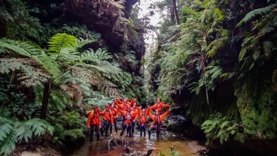 Group canyoning through a fern-lined Blue Mountains canyon