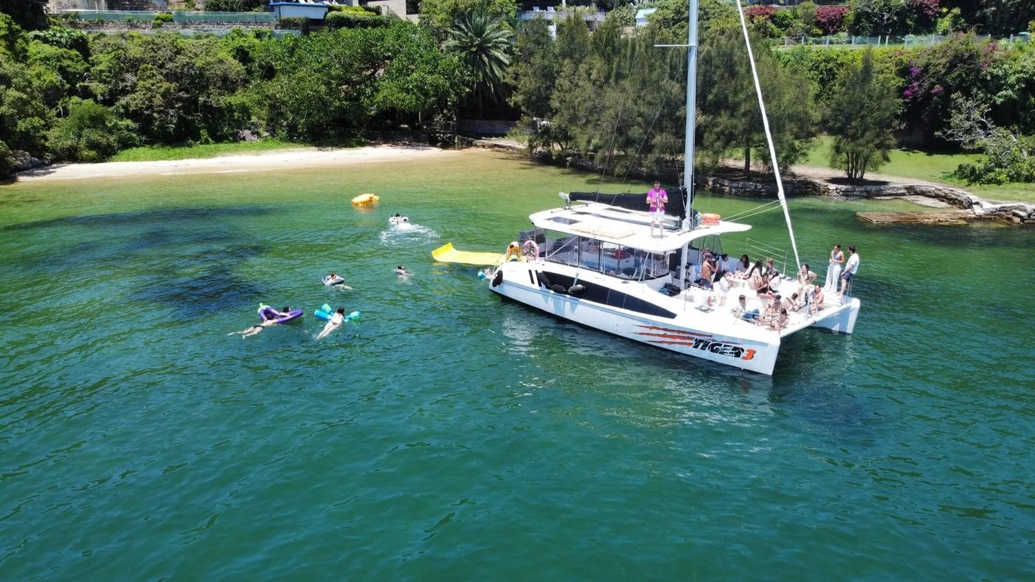 Tiger 3 catamaran anchored in a Sydney Harbour bay with guests swimming off the stern