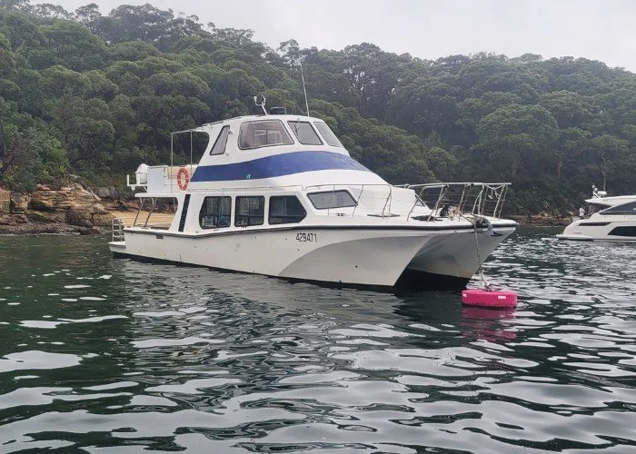 MV Mascot, a white 54ft power catamaran with a flybridge, moored in a bushland bay on Sydney Harbour