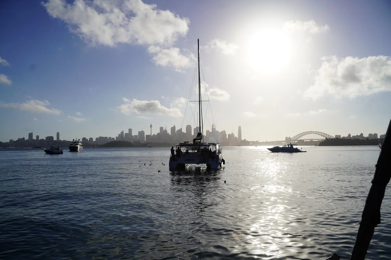 A charter yacht lying at anchor on a wide calm stretch of Sydney Harbour in bright afternoon sun, with the city skyline and the Harbour Bridge on the horizon behind it
