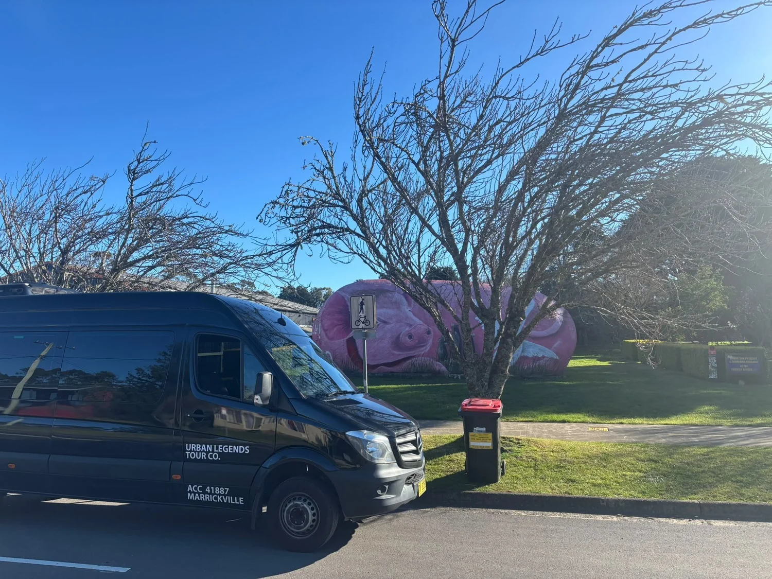 Urban Legends branded black Mercedes Sprinter parked at a roadside stop beside a large pink pig sculpture under a clear blue sky