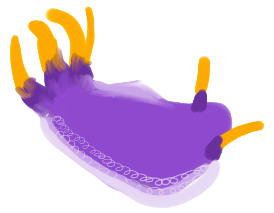 A violet sea-slug study with orange antennae and a pale patterned edge.