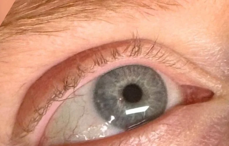 Natural lashes before a lash lift and tint.
