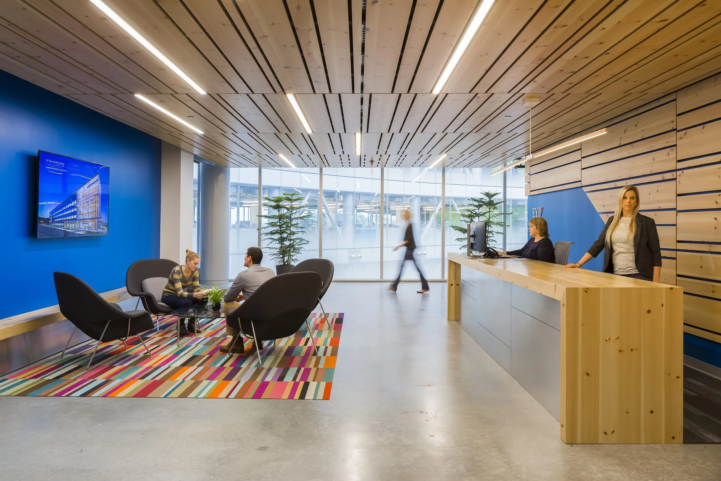 Reception - timber-slat ceiling - photography by Studio Basel Media