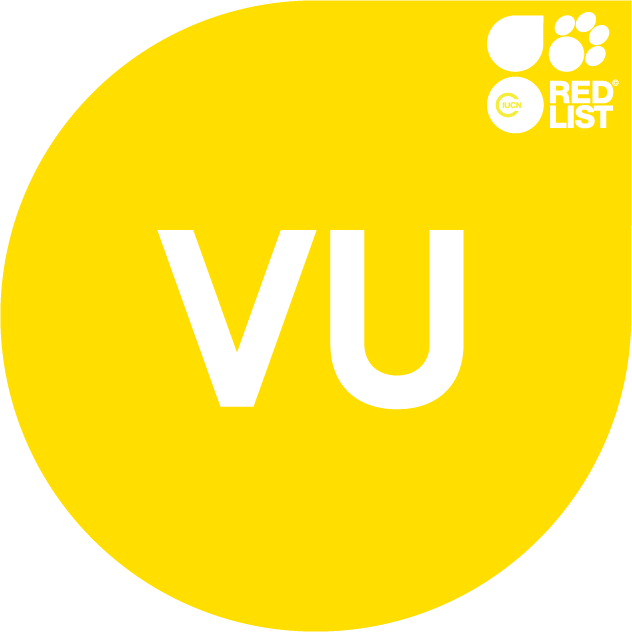 VU