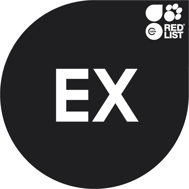EX