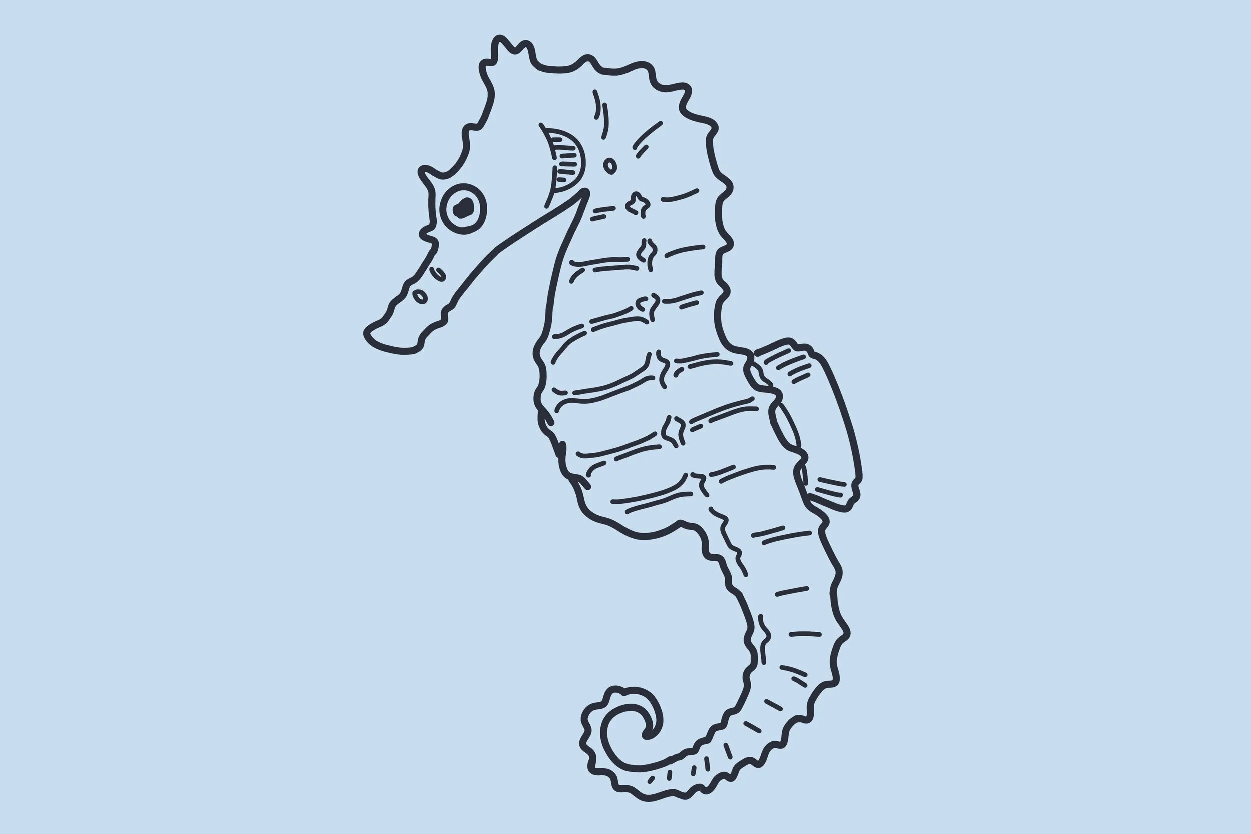 species photo