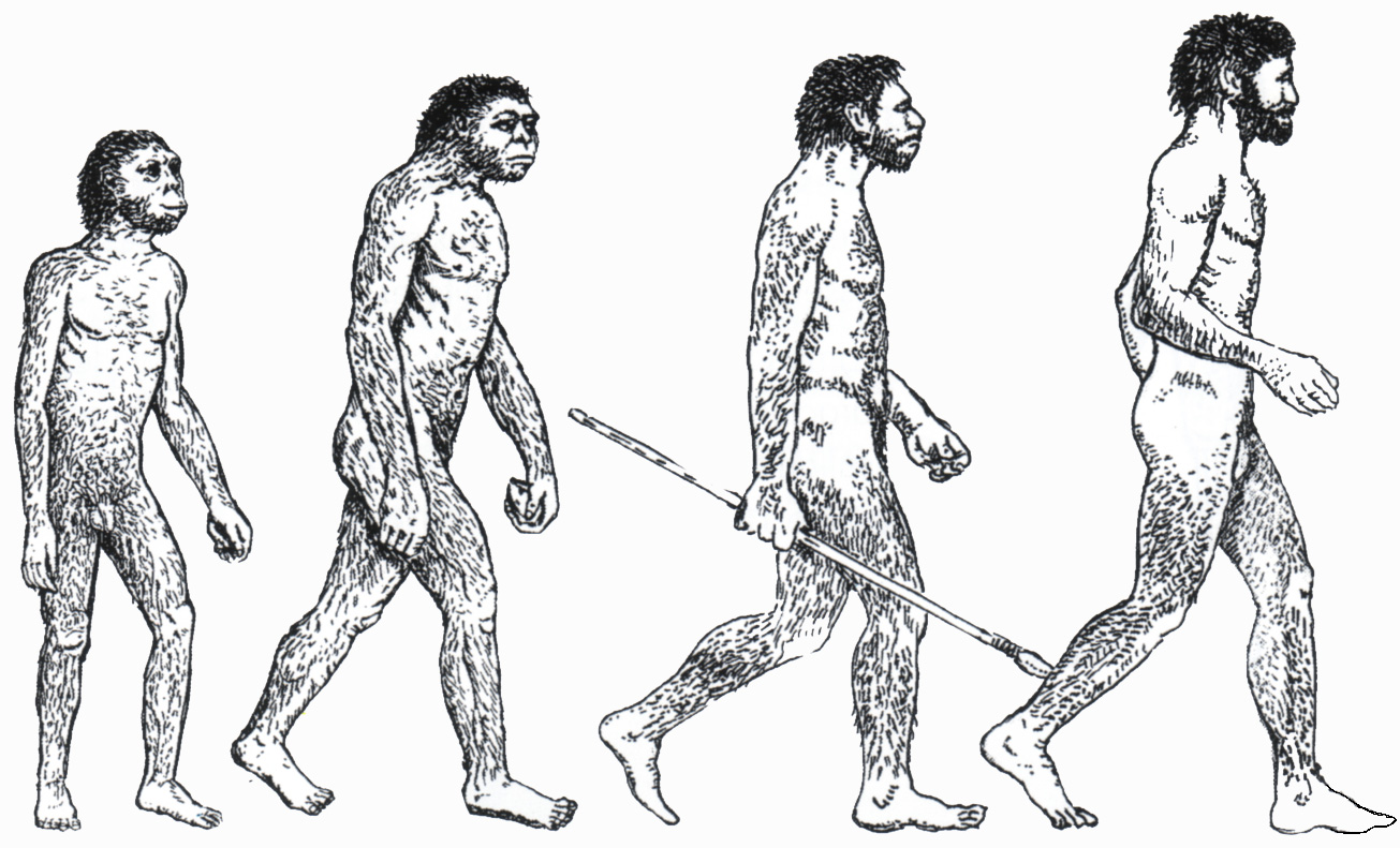 Хомо сапиенс появился в эпоху. Человек разумный homo sapiens. Человек разумный хомо сапиенс сапиенс. Кроманьонец неандерталец сапиенс сапиенс. Неандерталец и хомо сапиенс.