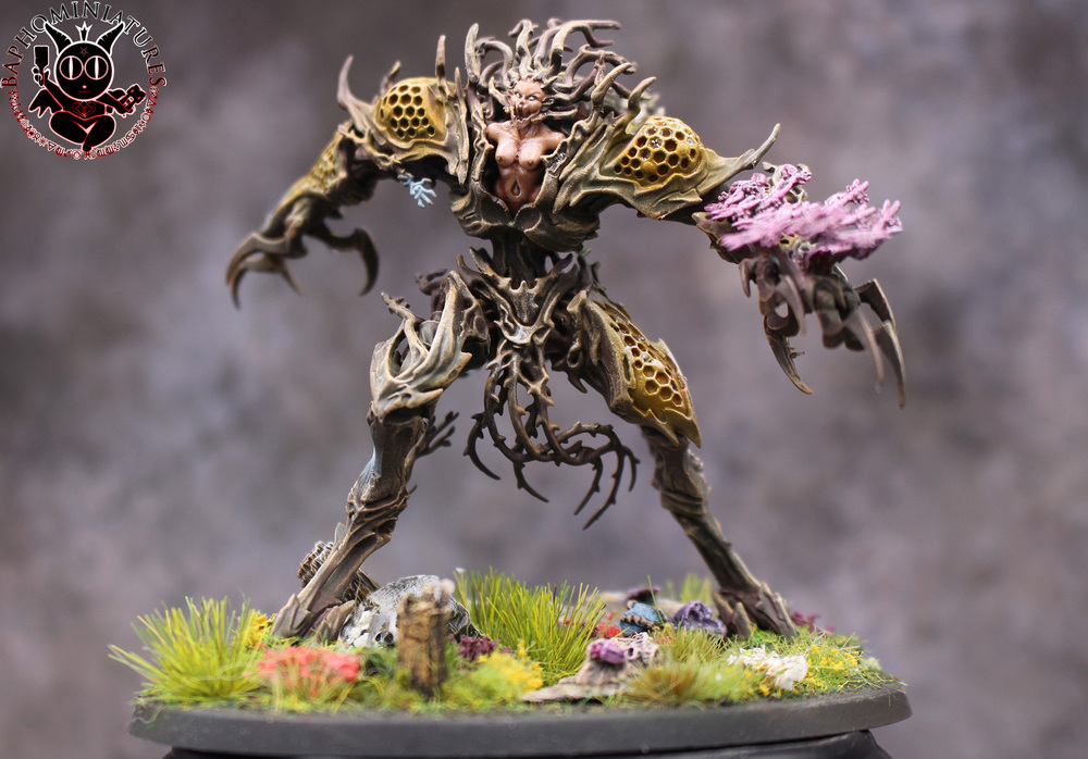 Drycha аке