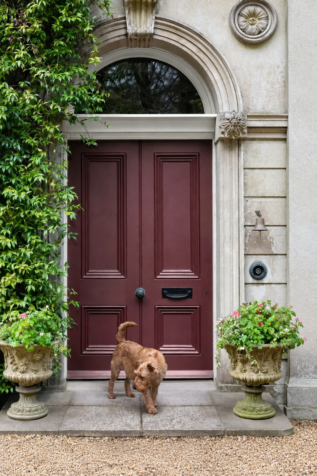 KVB Designs burgundy entry with dog