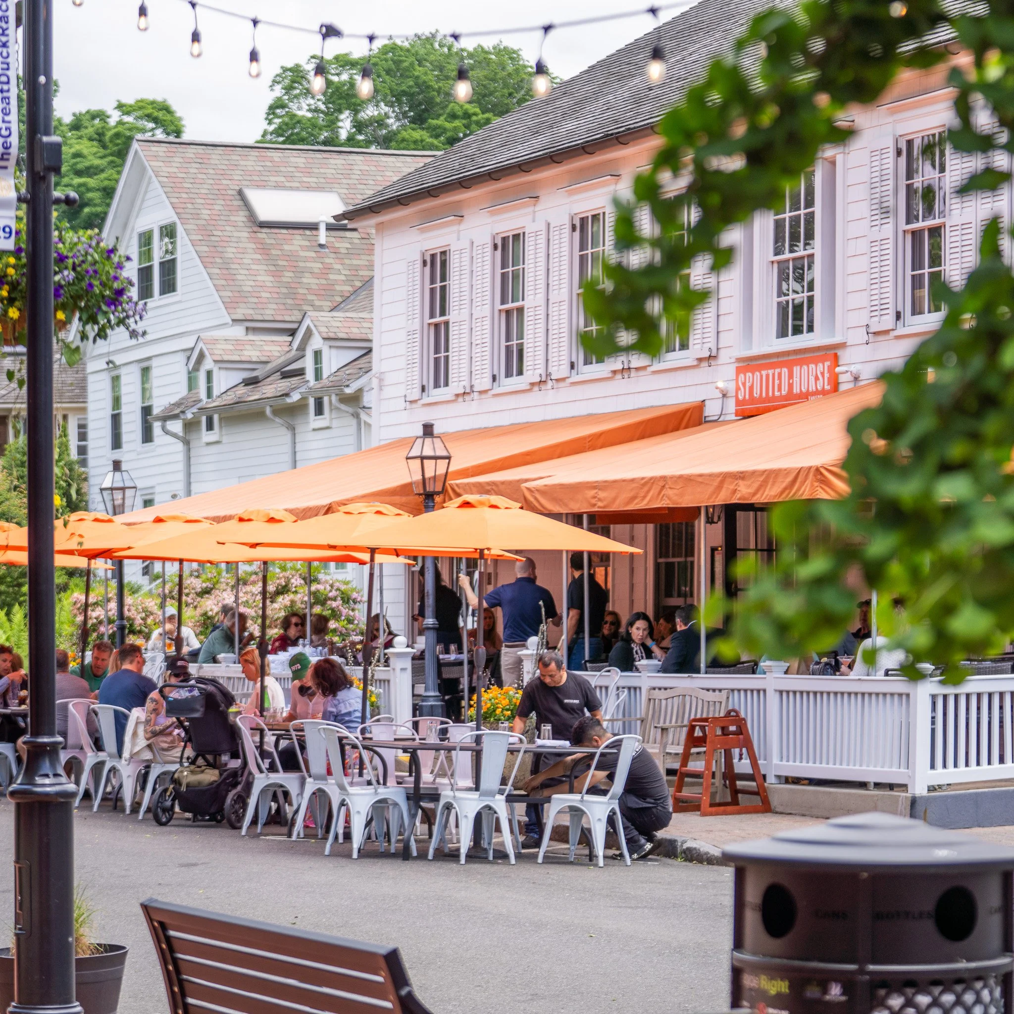 Downtown Westport business