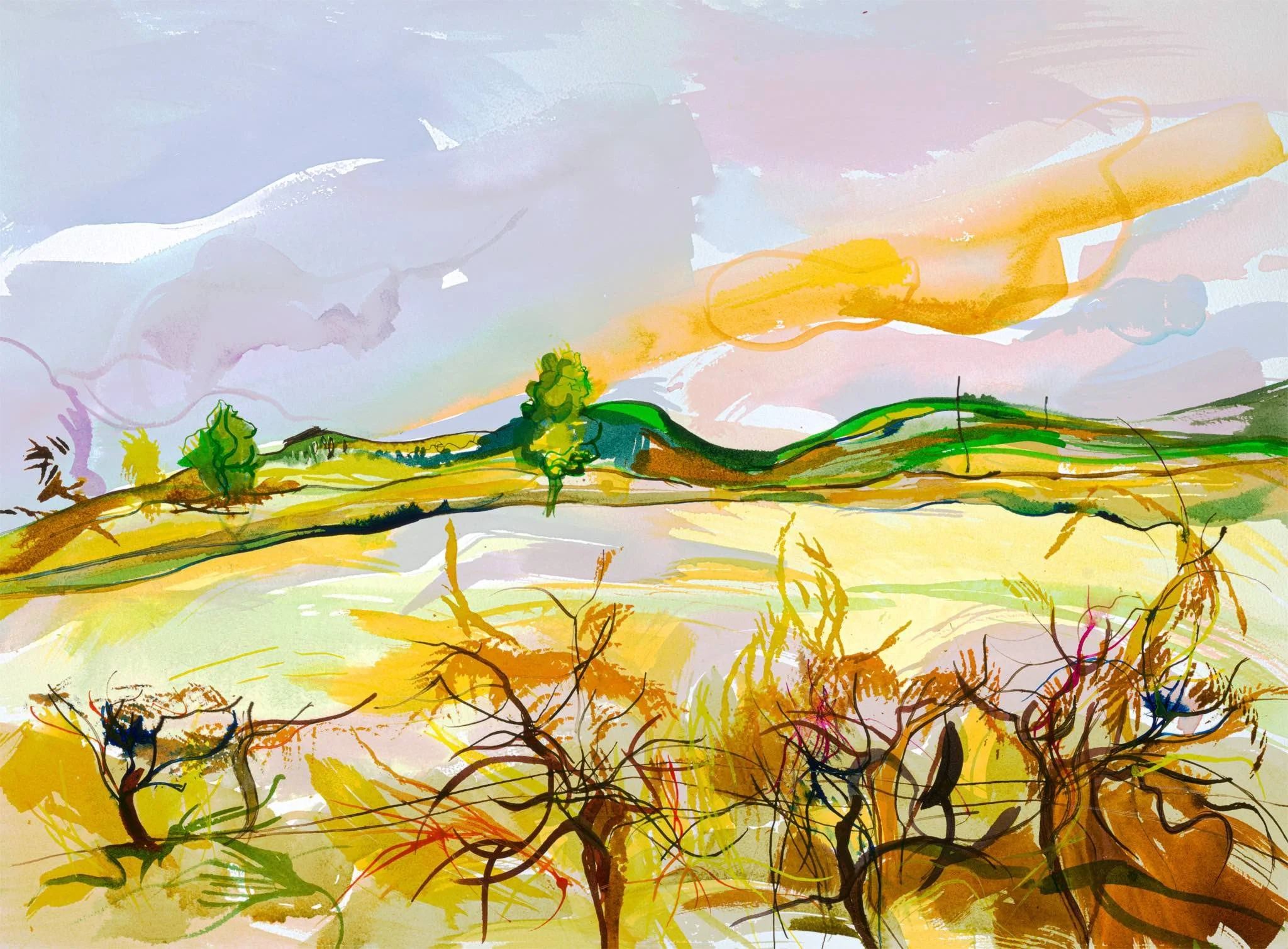 Across The Hedge