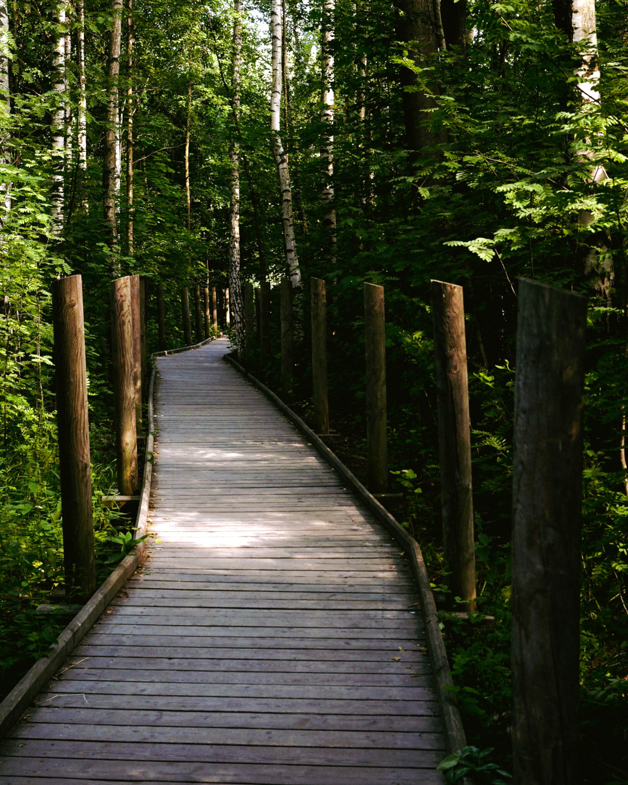 23 Ways to Connect with Nature Indoors