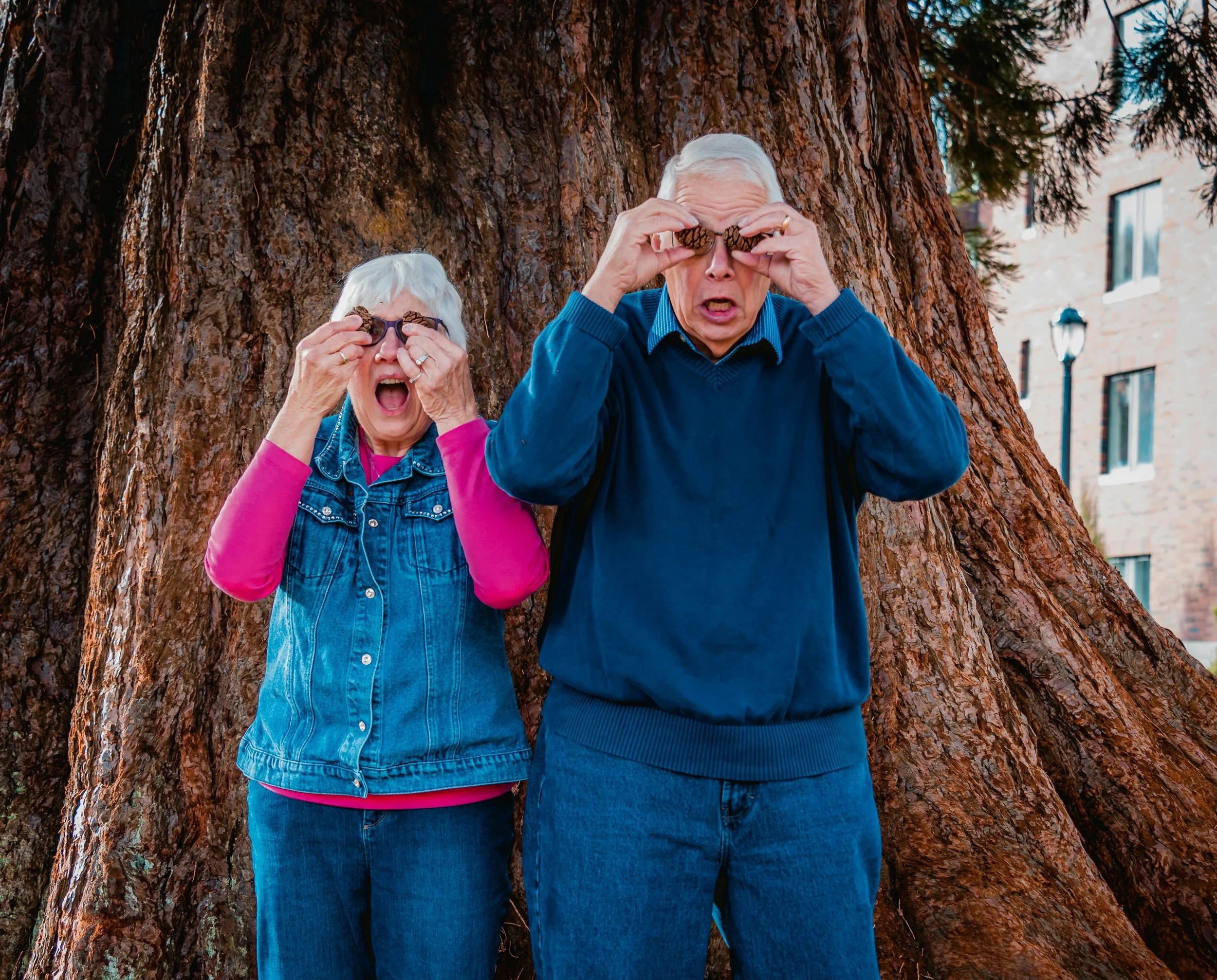 The importance of connections: Ways to live a longer, healthier life