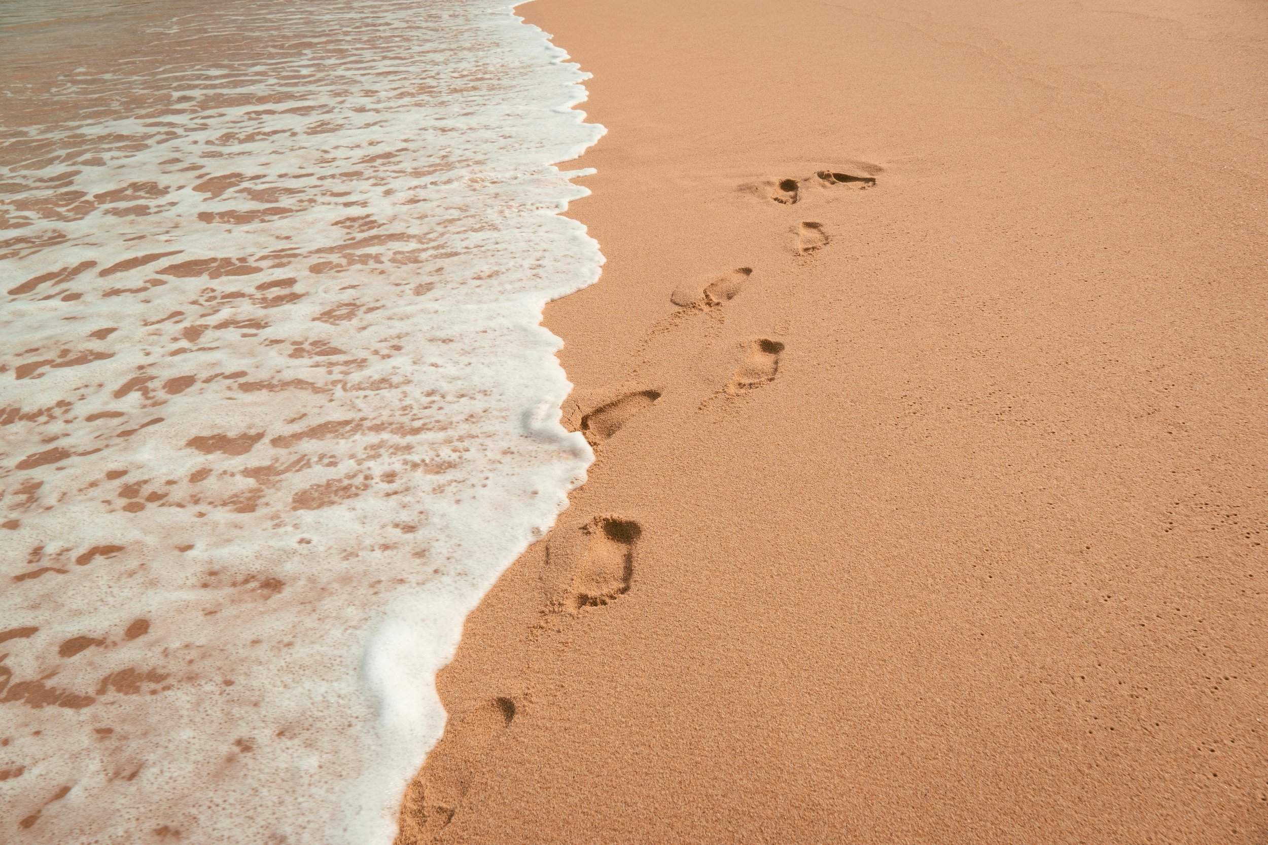 Carbon Footprint Calculator (The Nature Conservancy)