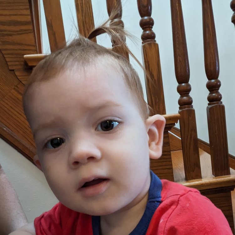 A picture of an 18 month old with a tiny ponytail on his head, looking curiously at the camera.