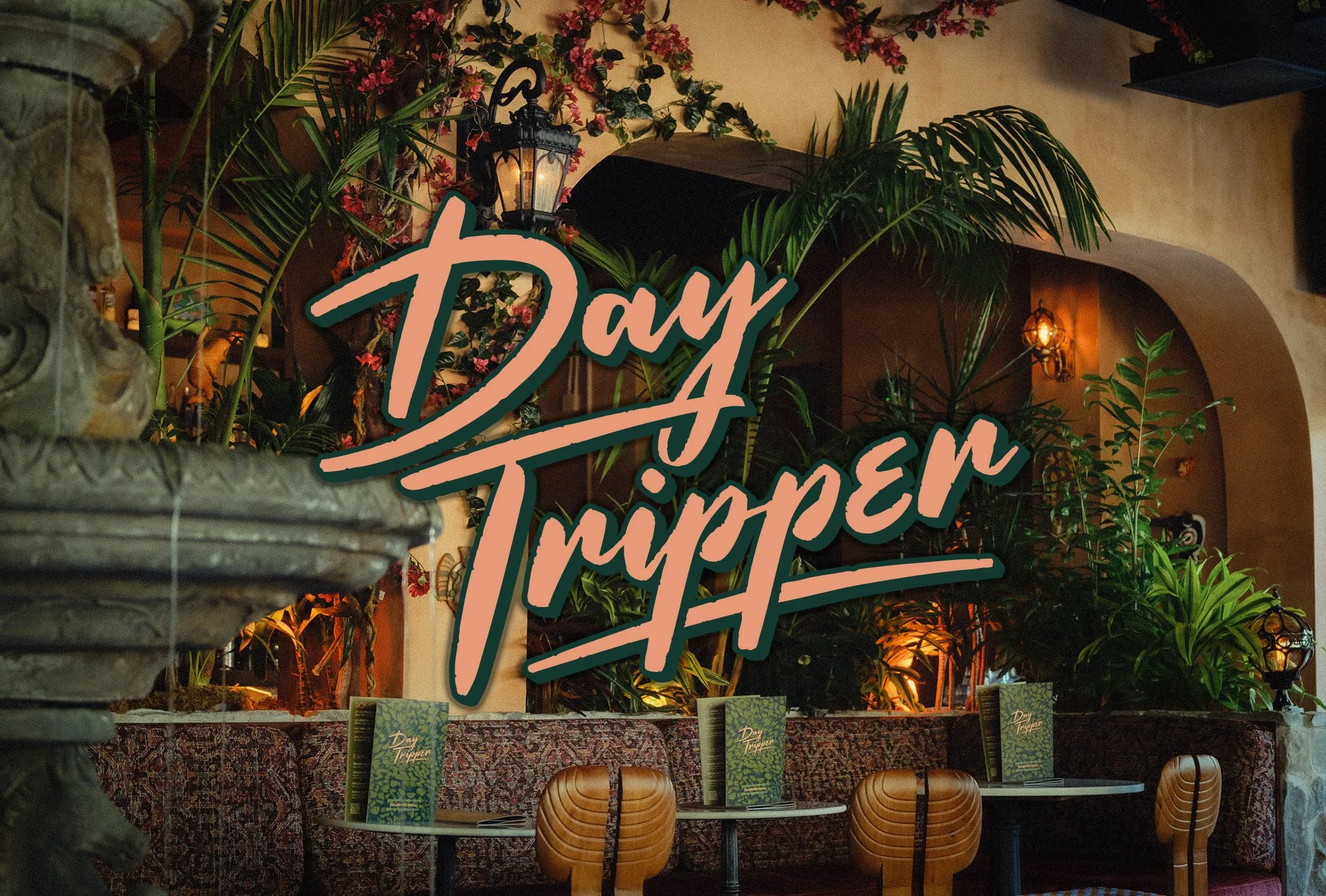 Day Tripper