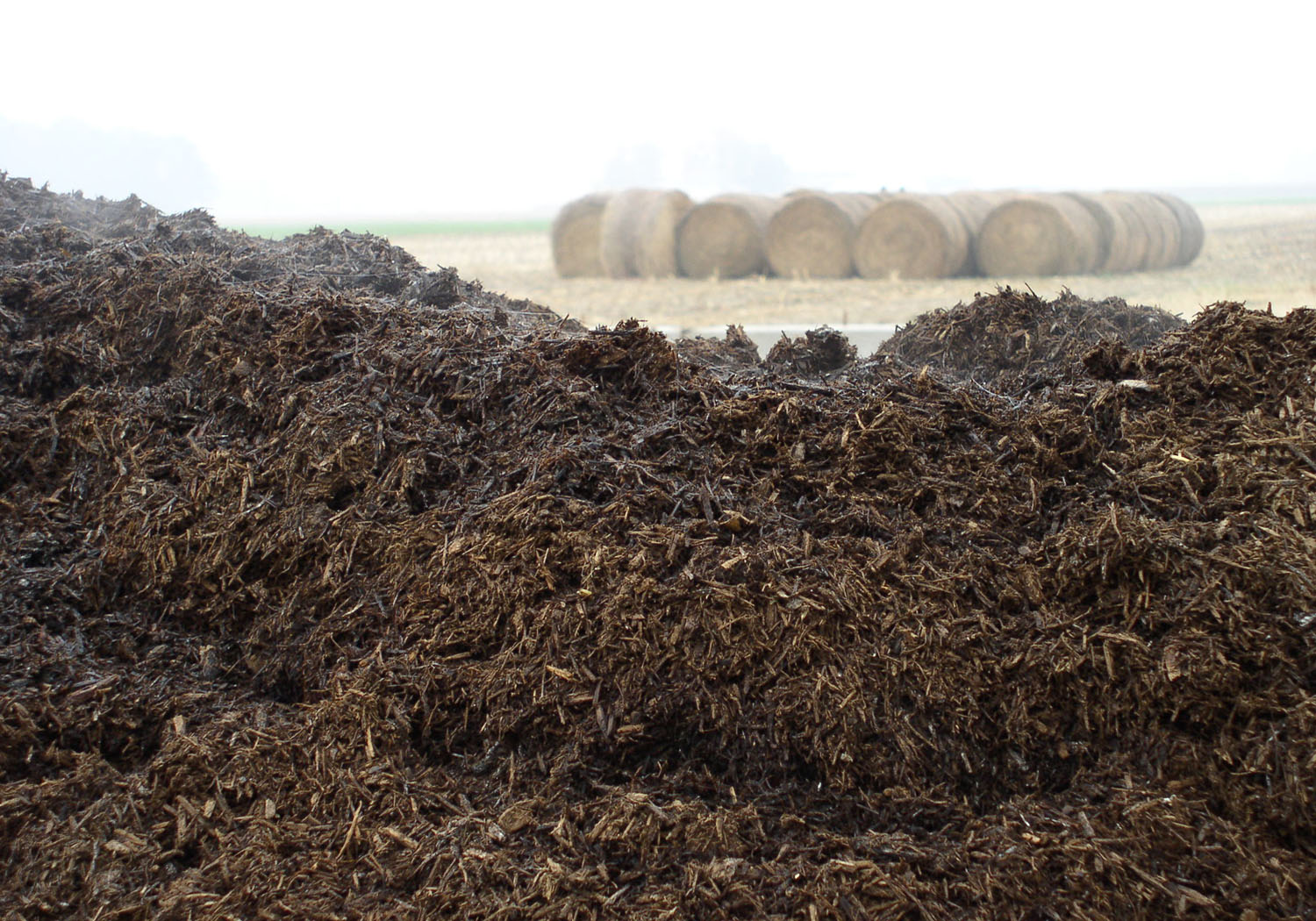 Отходы и стоки с животноводческих комплексов. Размещение отходов животноводства. Размещение отходов животноводства. Животноводство навоз. Куча навоза.