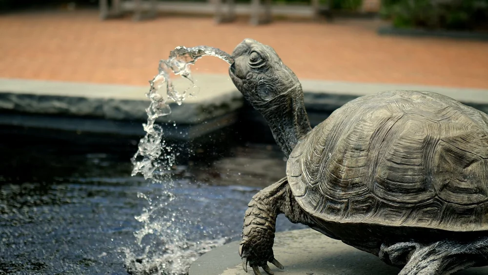 Secret Garden bronze turtle fountain spouting water at Tower Hill Botanic Garden, Boylston, MA