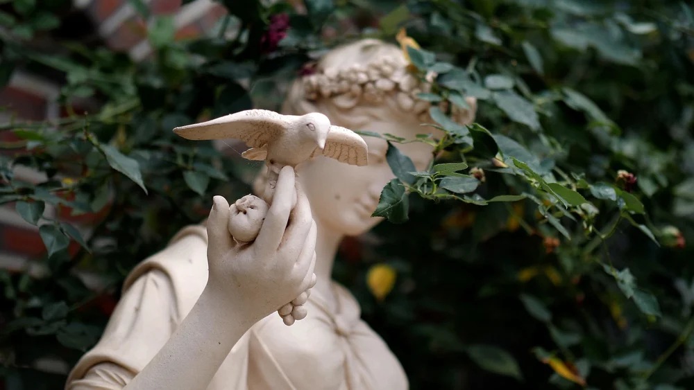 Classical stone garden statue framed by climbing ivy at Tower Hill Botanic Garden in Boylston, MA
