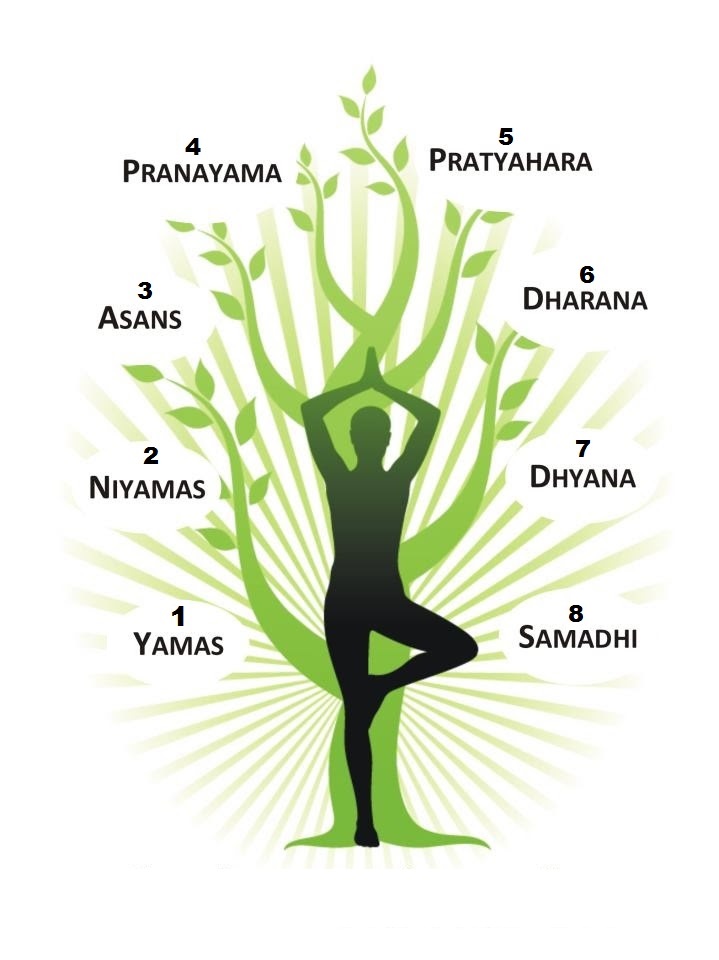 Eight libms of yoga