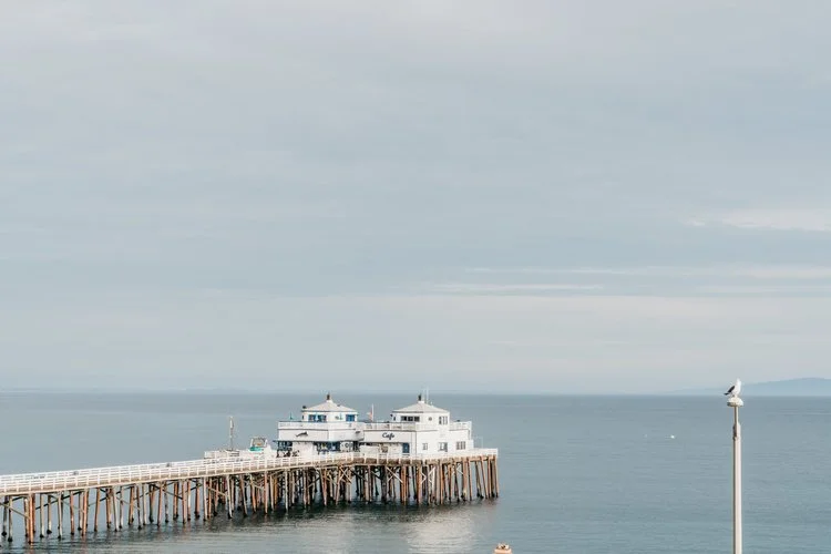 Surfrider Residency