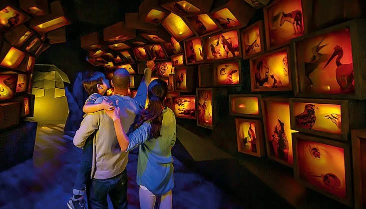 Museum of the Bible
