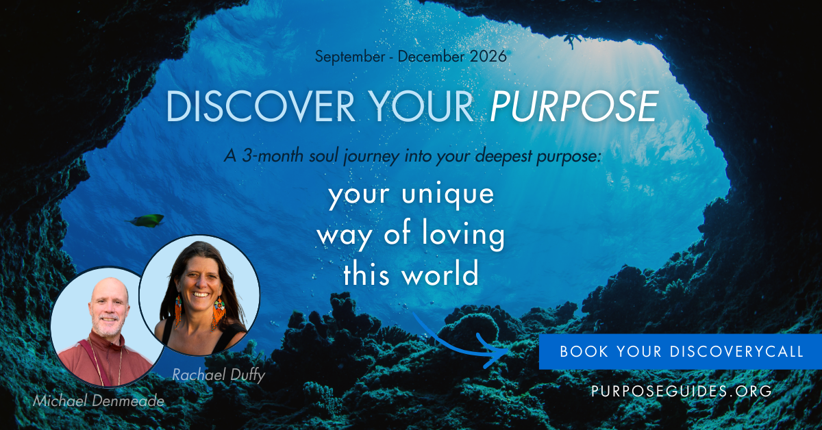 Purpose Discovery Program