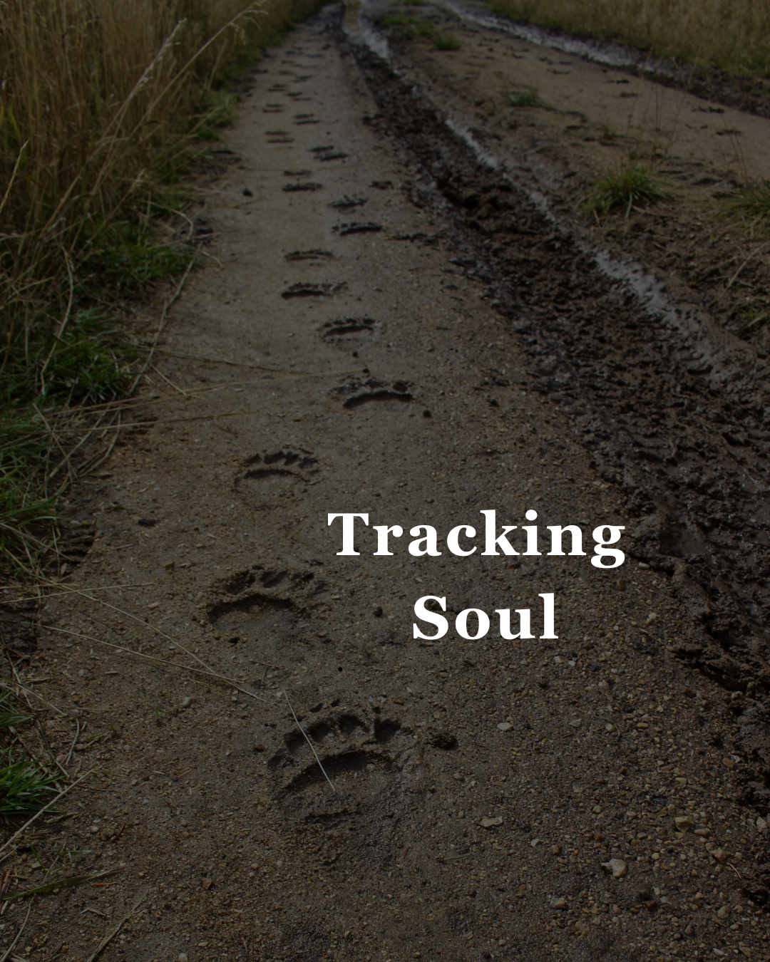 Tracking Soul