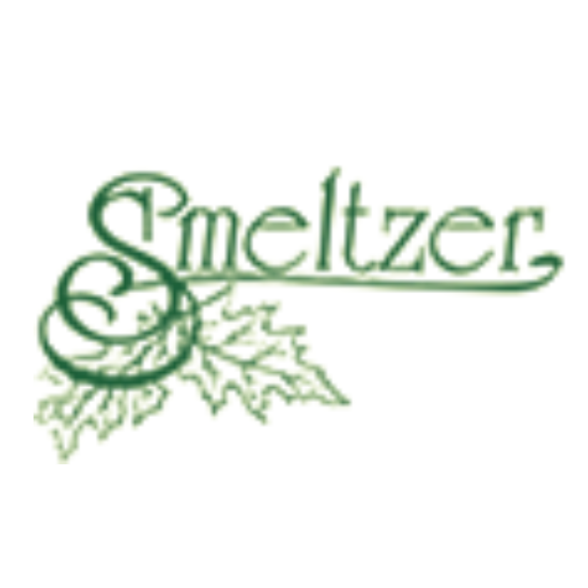 Ann Smeltzer Foundation sponsor logo