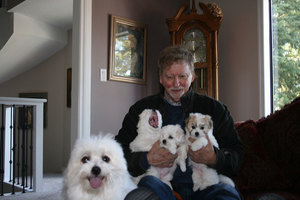 Man holding puppies with a dog beside him