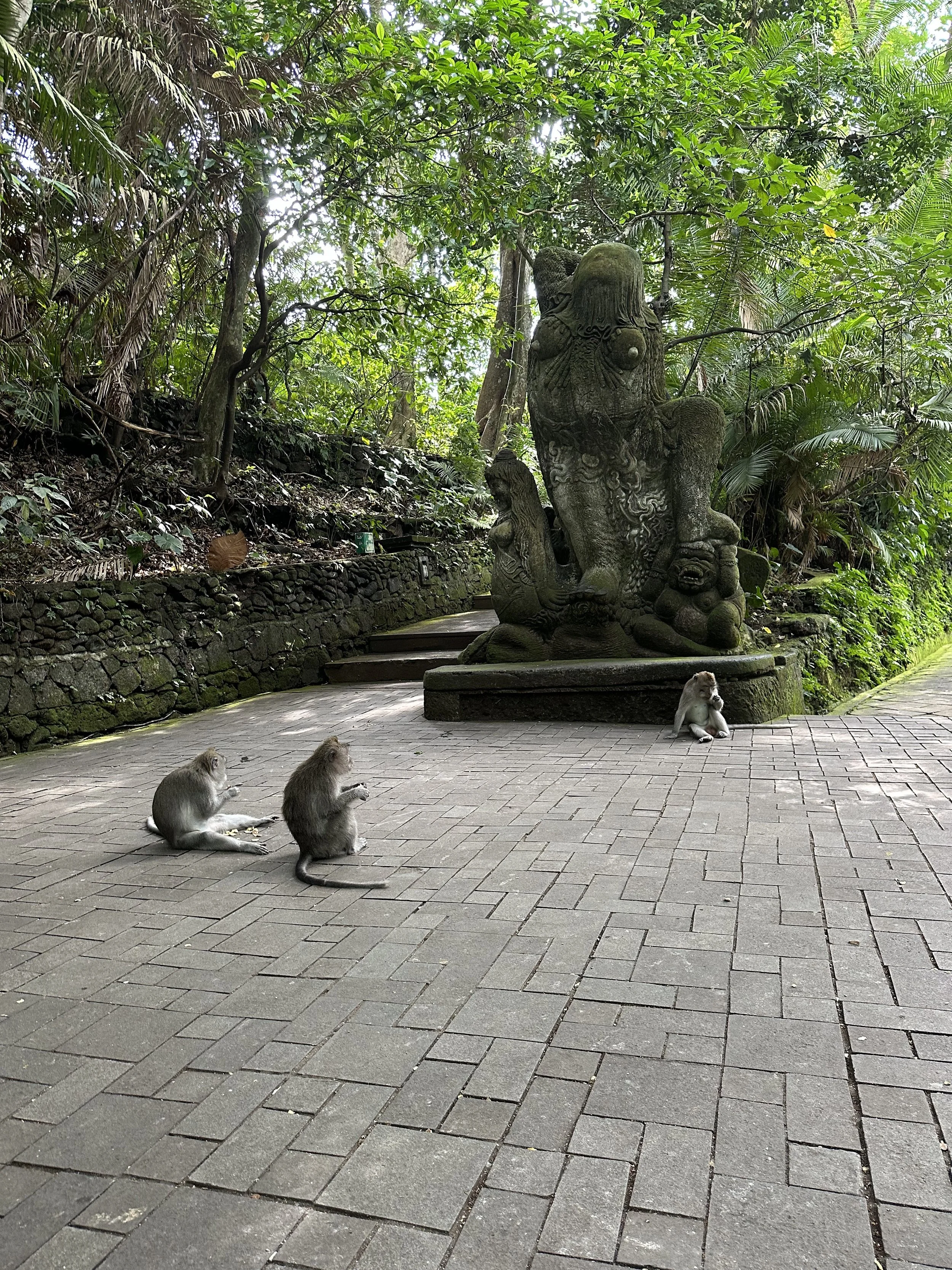 Bali with the family