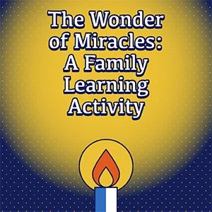 Pedagogy of Partnership – The Wonder of Miracles