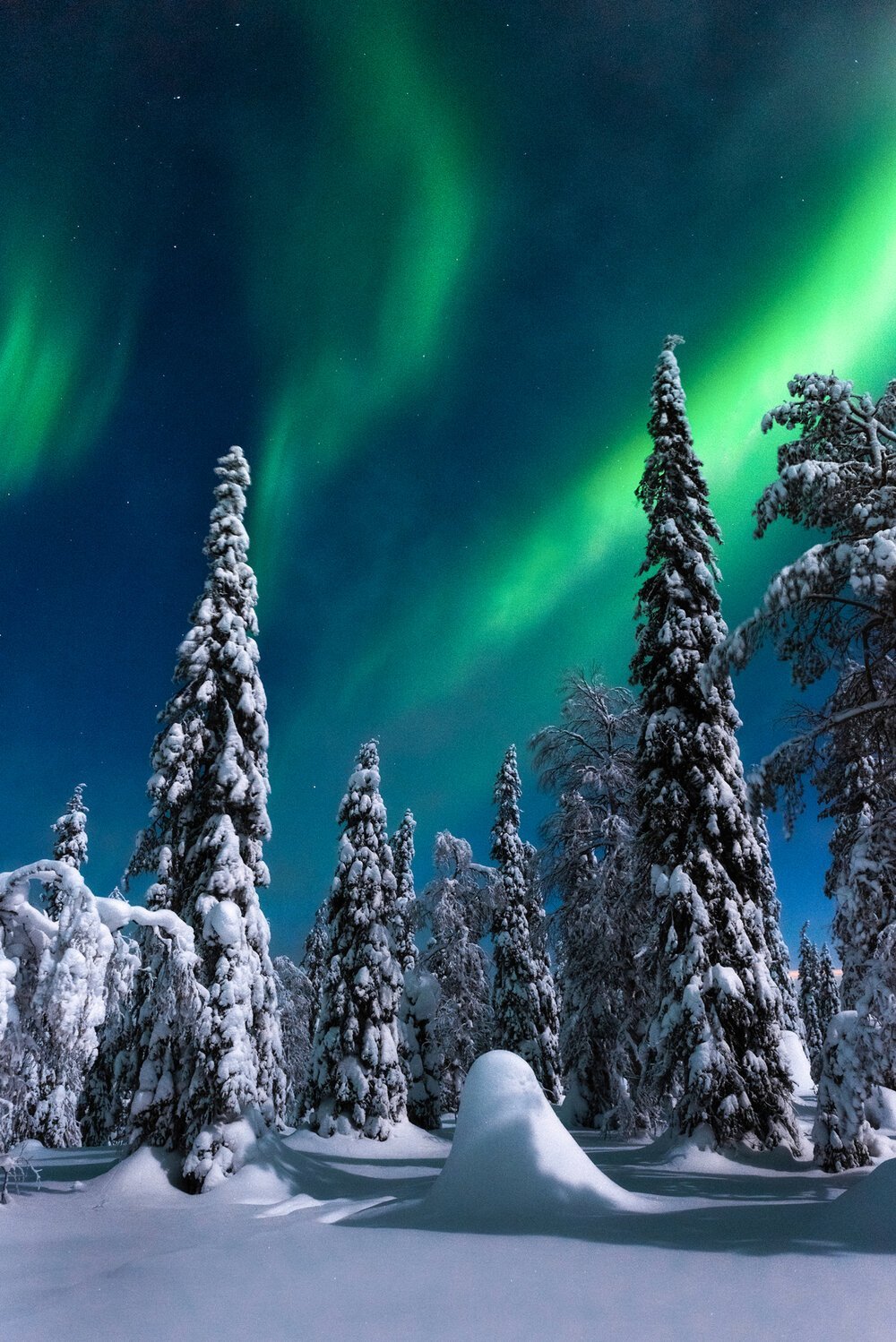 Lapland Landscape 4