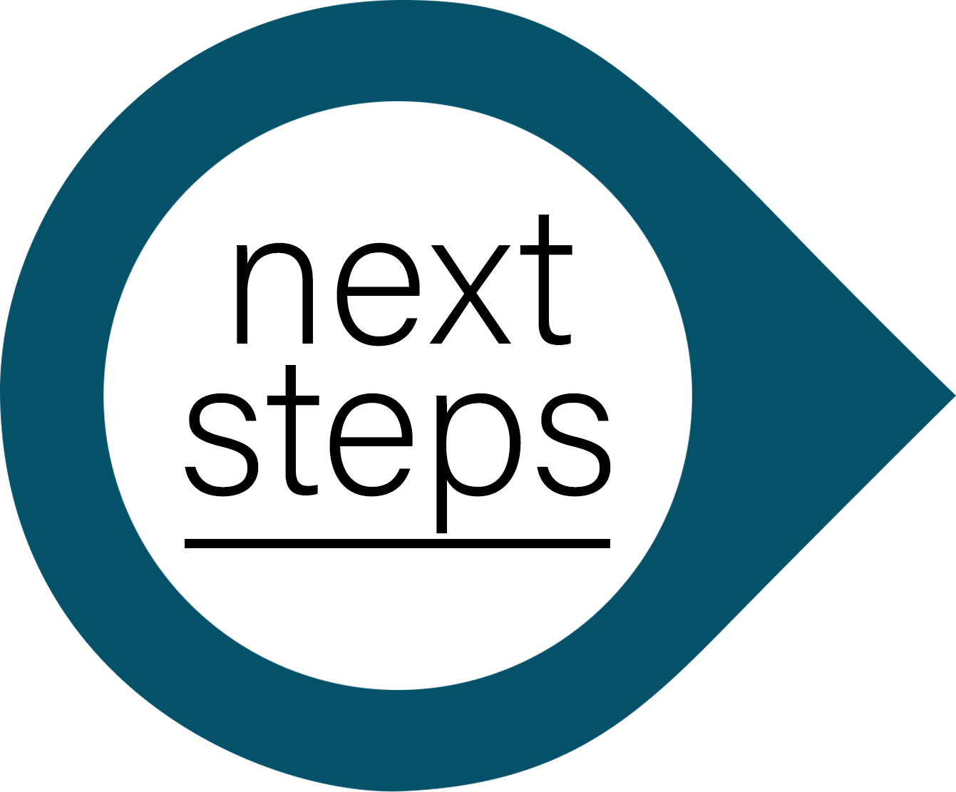 Next Steps