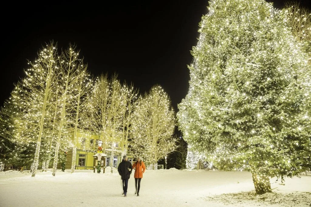 People gathered in a warm holiday lighting environment