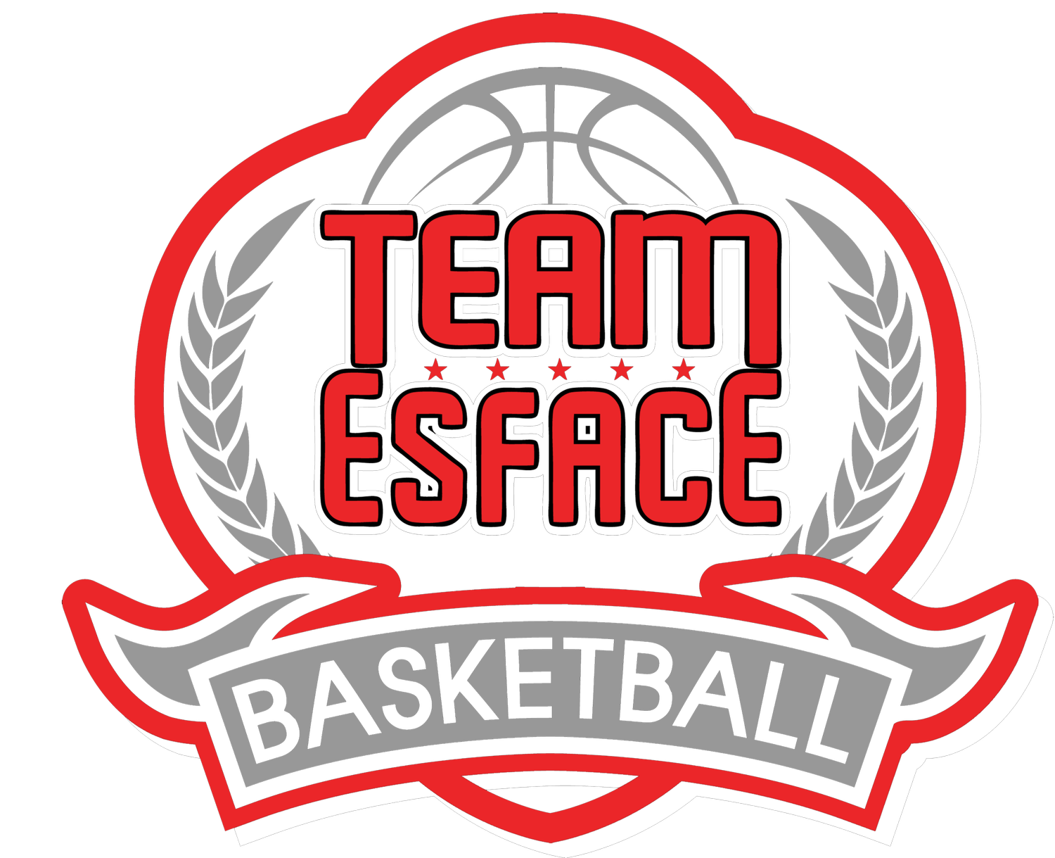 Team Esface Basketball Academy logo