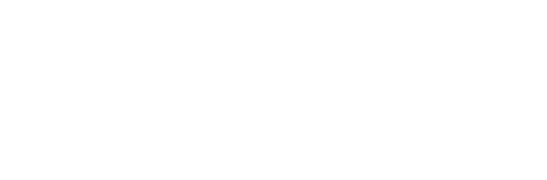 Mount Druid logo