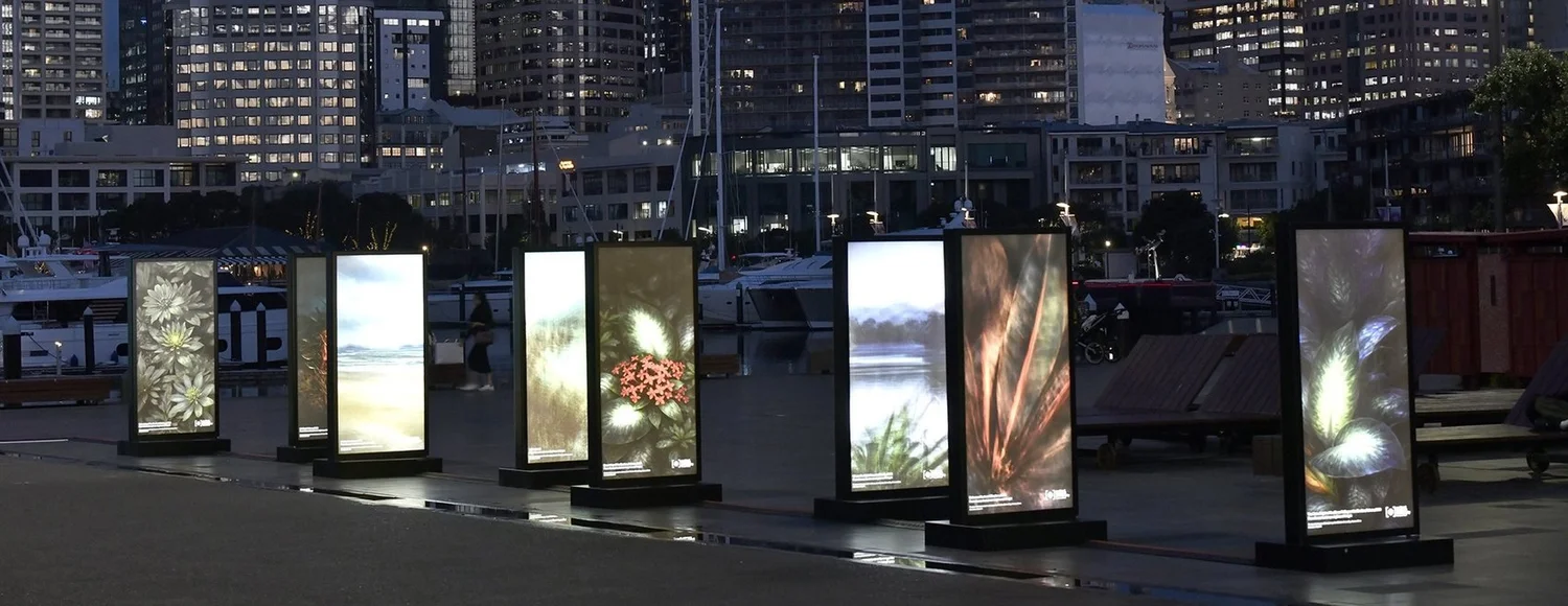 All eight lightboxes