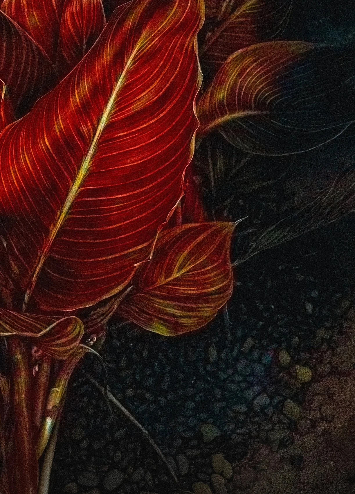 Detail, Untitled, Hainan