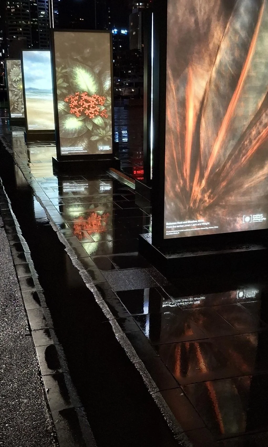 Karanga Plaza after rain