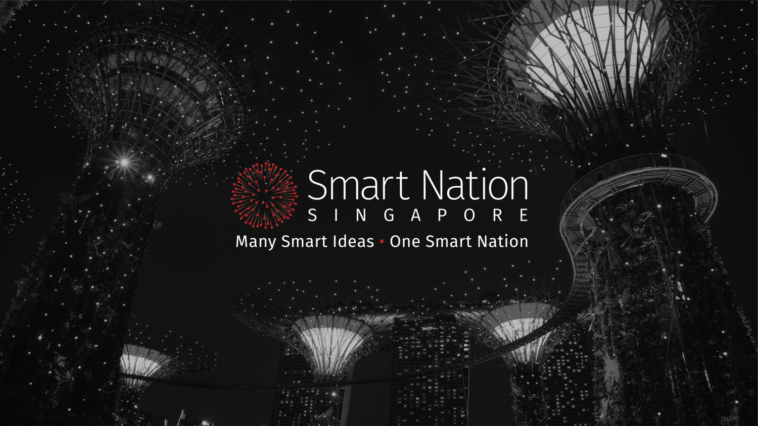 Умная нация Сингапур. Smart Nation. Smart Singapore. Проект Smart Nation.
