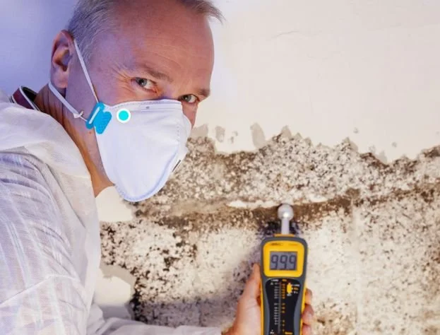 Mold inspection professional