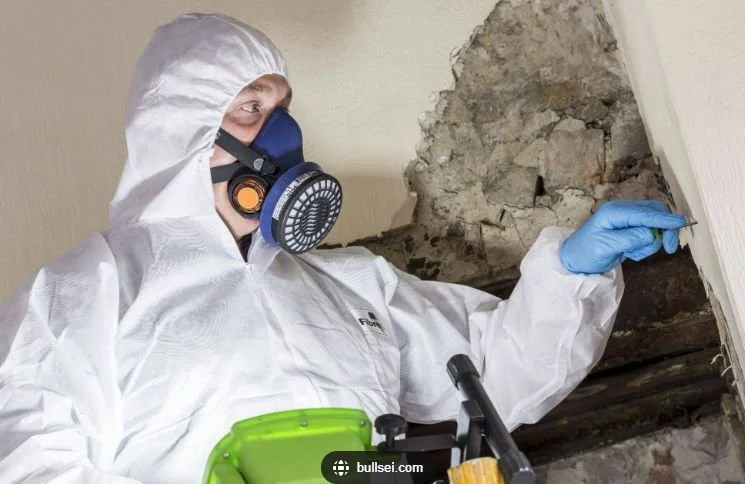 Asbestos inspection professional