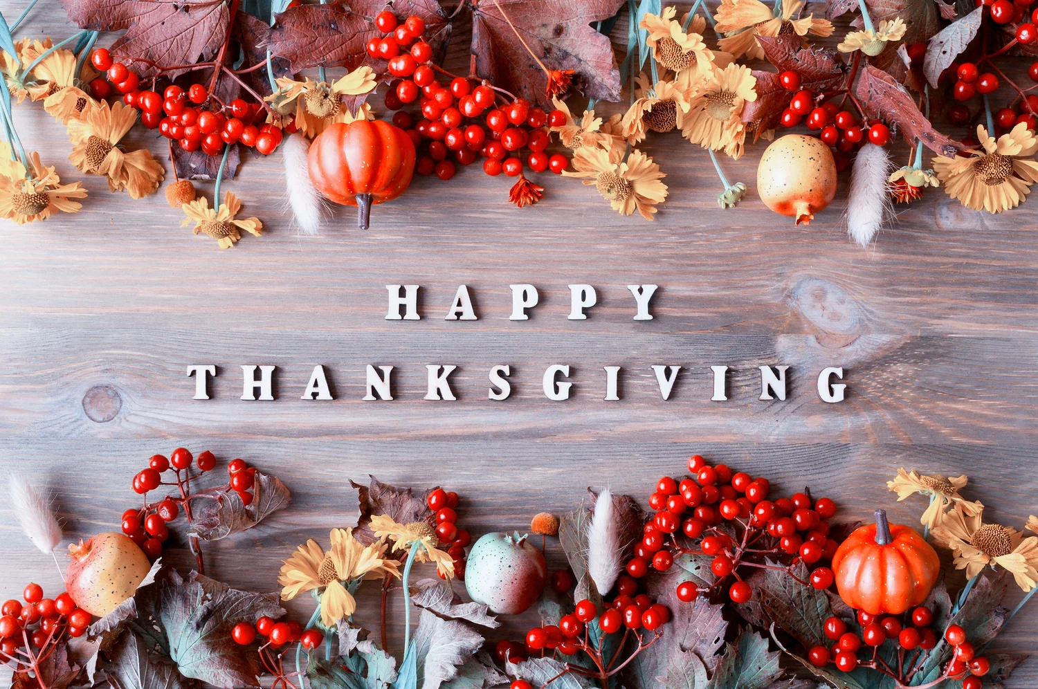 Thanksgiving.jpeg?format=1500w&content-type=image%2Fjpeg
