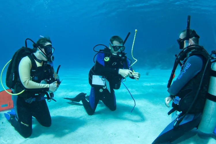 PADI IDC candidate group at the Coconut Tree Divers shop in Roatan